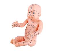 Modelo anatómico de entrenamiento de acupuntura con juego de agujas para estudio y práctica clínica, herramienta de entrenamiento de acupunturistas