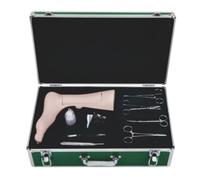 Modelo Anatómico de Entrenamiento para Flebotomía, Simulación de Cuerpo Humano con Vena Safena, Modelo de Anatomía Humana Desmontable