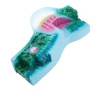 Modelo anatómico de hoja de planta, ayuda de enseñanza de biología, estructura de hoja de PVC realista modelos de anatomía para aulas, suministros de laboratorio de demostración para profesores de