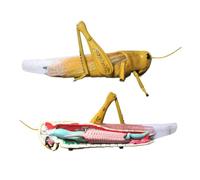 Modelo anatómico de Langosta de 23,62 Pulgadas, Modelo anatómico Desmontable de Langosta, Ciencia biológica, Material de formación médica.