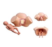 Modelo Anatómico De Obstetricia Avanzada, Simulador De Parto Femenino, Modelo Fetal, Simulador De Muñeca De Entrenamiento De Obstetricia para La Enseñanza del Entrenamiento Médico De Fertilidad