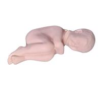 Modelo Anatómico de Punción Lumbar, Cuerpo Humano Desmontable, Anatomía Humana con Líquido Cefalorraquídeo Simulado