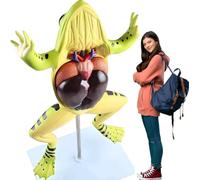 Modelo anatómico de rana, modelo desmontable de órganos y partes del cuerpo de rana, modelo anatómico de órganos internos de animales, material didáctico