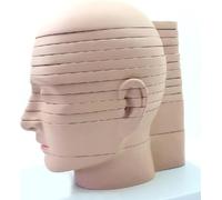 Modelo anatómico de sección transversal del cerebro humano, modelos de enseñanza de corte horizontal médico, modelo de corte transversal de anatomía del cráneo humano de 12 partes, para formación en