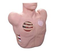Modelo Anatómico de Tórax para Prácticas de Punción y Drenaje, Cuerpo Humano Desmontable, Anatomía Humana