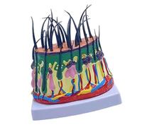 Modelo Anatómico Del Cabelludo Herramienta De Enseñanza Anatomía Estructura Humana Ampliada 50X Para Estudio Científico