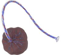Modelo anatómico del cordón umbilical de placenta neonatal con venas y arterias umbilicales: ayuda de formación clínica for ginecología y educación médica de enfermería