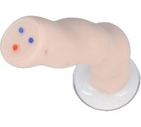 Modelo anatómico del cordón umbilical, material didáctico médico for el cuidado neonatal: visualización de venas y arterias for formación en ginecología