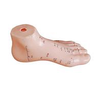 Modelo anatómico del pie humano para acupuntura, PVC suave y brillante, cuerpo humano desmontable, incluye manual en chino e inglés, anatomía humana