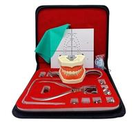 Modelo anatómico humano, herramienta de práctica for perforar diques de goma, kit de dique de goma for endodoncia dental, juego de herramientas de clip dental, con marcos de abrazaderas for placa de p