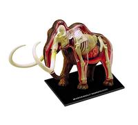 modelo anatómico, Modelo 4D de elefante - Modo animal Rompecabezas anatómico desmontable 30 piezas con órganos biológicos animales for enseñanza médica