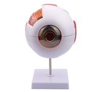 Modelo anatómico Modelo de anatomía del Globo Ocular Ampliación 6X Modelo de Globo Ocular del Ojo Humano extraíble Mode