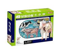 Modelo anatómico, Modelo de vaca 4D Vision