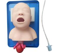Modelo anatómico, Modelo, Maniquí de intubación, Modelo de intubación traqueal, Modelo de maniquí y traqueal para manejo de Pacientes