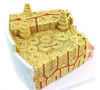 modelo anatómico， Structural Anatomy Model, Exercise System Anatomical Micro Orthopedics Clinical Medical