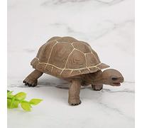 Modelo Animal Simulación Elefante Tortuga Juguete Vivo Pintado A Mano Realista Juguete Educativo De Aprendizaje para Niños Decoración De La Habitación De Los Niños Materia