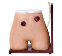Modelo Avanzado De Enfermería For Fístulas Y Ostomías, Modelo De Enema De Defecación Asistida, Modelos De Maniquíes Didácticos For Formación Médica En Enfermería, Estudio De Demostración