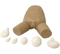Modelo avanzado de examen y evaluación del fondo uterino, modelo de anatomía uterina, for herramientas de enseñanza y formación ginecológica