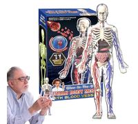 Modelo Cuerpo Humano - Torso Completo 4D con Esqueleto Fosforescente | Conjunto de Anatomía Educativa Temprana con Órganos Extraíbles | Juguete Científico de Aprendizaje para el Estudio Infantil