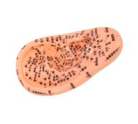 Modelo de Acupresión Auricular de Medicina China Ergonómico