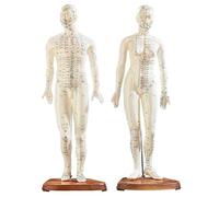 Modelo de acupuntura de 45 Cm, 2 uds., Figuras de acupuntura para Hombre y Mujer, Marcas de Colores, meridianos y Puntos