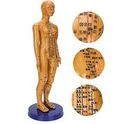 Modelo de Acupuntura de Cuerpo Humano Masculino Femenino con Letras Claras, Diseño Estable para Enseñanza de Medicina China, Acupuntura, Masaje (mujer)