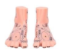 Modelo de Acupuntura del Pie, Herramienta de Enseñanza de PVC Modelo de Reflexología del Pie para Familias para Clínicas para Escuelas para Hospitales