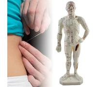 Modelo de acupuntura - Herramienta educativa para el cuerpo humano de 26 cm para el aprendizaje y exhibición de ciencias - ideal para enseñanza y exploración de anatomía