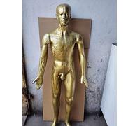Modelo de acupuntura humana, 175 cm, medicina china, punto de acupuntura masculina, modelo meridiano para masaje chino, atención médica
