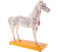 Modelo de anatomía Animal Modelo de acupuntura equina Modelo de anatomía 4D Modelo de biología equina Modelo del Cuerpo del Caballo Enseñanza Veterinaria en Animales Modelo de acupuntura equina