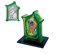 Modelo de Anatomía Celular Vegetal Desmontable 4D, Modelo de Célula Científica de 26 Piezas, Kit de Modelos de Células Vegetales para la Enseñanza de Anatomía y Microbiología