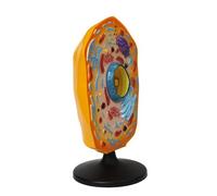 Modelo de anatomía de células animales con piezas extraíbles, herramienta anatómica de enseñanza de biología celular animal para aulas de ciencia, exhibición de aula de ciencias