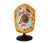 Modelo de anatomía de células animales con piezas extraíbles, modelo anatómico, herramienta de enseñanza de biología para aulas de ciencia, herramienta de demostración