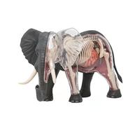 Modelo de anatomía de elefante 4D, 27 órganos desmontables y muestra de esqueleto - Modelo de anatomía animal for enseñanza veterinaria, clases de biología e investigación científica