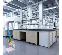 Modelo de anatomía de la columna vertebral humana de 45 cm con regiones cervical/torácica/lumbar/sacro/coccígeas codificadas por colores para educación, enseñanza y clínica (45 cm)