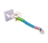 Modelo de anatomía de la columna vertebral humana de 45 cm con regiones cervical/torácica/lumbar/sacro/coccígea codificadas por colores, ayuda de enseñanza de PVC para educar anatomía (45 cm)