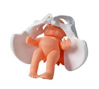 Modelo de anatomía de pelvis femenina móvil pequeño de PVC para educación de obstetricia y ginecología, hueso pélvico móvil