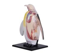 Modelo de Anatomía de Pingüino 4D con 28 Órganos y Esqueleto Desmontables, Modelo Anatómico Animal Biológico para la Enseñanza de Biología, Educación Veterinaria e Investigación Científica