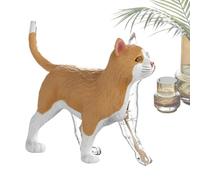 Modelo De Anatomía Del Esqueleto De Gato Ayuda didáctica animal 4D
