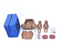 Modelo de Anatomía Humana para Formación en Habilidades de Parto, Modelo de Cuenca Femenina con Feto y Placenta para Práctica Obstetricia