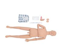 Modelo de anatomía humana unisex Modelo interactivo del cuerpo humano de 55 cm con órganos extraíbles Anatomía portátil 19 piezas Modelo anatómico humano educativo Modelo del cuerpo humano (femenino)