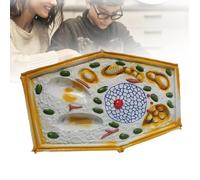Modelo de anatomía la célula Vegetal, especímenes microscópicos Estructura Celular Vegetal; Material didáctico biología a Escala ampliada para educación Secundaria
