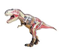 Modelo de Anatomía Modelo De Anatomía Del Tiranosaurio: Órganos Desmontables, Partes Del Cuerpo, Modelo Anatómico Animal Suministros de Enseñanza