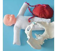 Modelo de anatomía Muñeca Jane de anatomía, Simulador de Modelo de Parto, Parto Modelo de Pelvis Femenina, Conjunto de demostración de Nacimiento Que Incluye Modelos de Pelvis de bebé y Cord