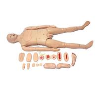 Modelo de anatomía Simulador Humano, Modelo de maniquí de enfermería, simulador avanzado de atención al Paciente con Funciones Completas, para exhibición de Estudio en el Aula de Ciencias -