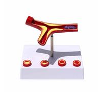 Modelo de arteria humana de cuatro piezas, modelo de arterioesclerosis y trombosis, modelo anatómico de vasos sanguíneos, modelo de anatomía de arteri... ASIN: