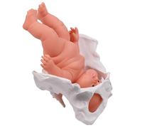 Modelo de atención al recién nacido en obstetricia y ginecología Modelo pélvico con bebé Demostración del parto Modelo de pelvis Modelo de enseñanza de partería para la recuperación