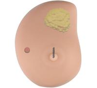 Modelo de autoexamen mamario de silicona - Lactancia for la educación sanitaria(C)