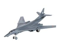 Modelo de avión de la Unión Soviética, Bombardero supersónico TU160, aleación, colección de Juguetes para Adultos, decoración de Escritorio para Hombres, 10 Pulgadas(Gray)