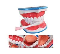 Modelo de Boca para Logopedia, Modelo de Diente de Boca Dental, Modelo de Cepillado de Dientes 6X, Modelo Dental Con Lengua Móvil Y Cepillo de Dientes para Dentadura Postiza, Modelo de Enseñanza